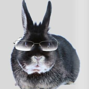 Hase22